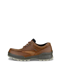 ECCO Gore-Tex|Casual* TRACK 25 M Ruskea